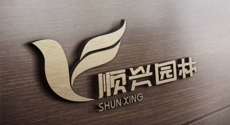 阳信县VI设计：城市品牌蝶变的核心引擎